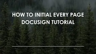 Как поставить инициалы на каждой странице: руководство по DocuSign