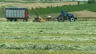 Turning Rye Into Silage!