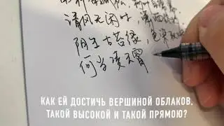 唐诗第二十九期：《南轩松》Сосна у южного окна#汉字#传统文化#LearnChinese#китайскийязык#иероглифы