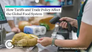 How Tariffs and Trade Policy Affect the Global Food System