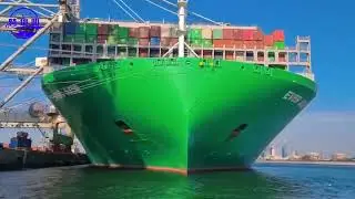 Why are ocean freight rates so crazy now?