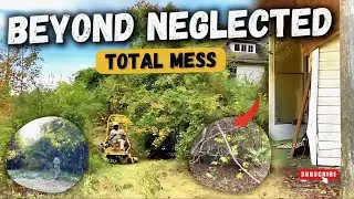 ABANDONED and NEGLECTED made this yard fit for a TRANSFORMATION MASSACRE 