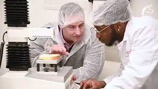 High-Quality Baking Solutions for High-Speed Production
