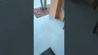 good luck or bad luck? dead bird on porch
