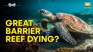 Is the Great Barrier Reef DYING? | The $9 Billion Underwater World