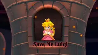Luigi Finally Saves The Princess