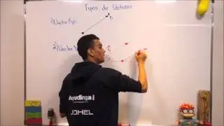 Tipos de Vectores | Teoría, Concepto y Ejemplos