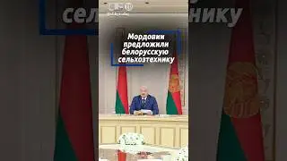 Лукашенко: Беларусь готова обеспечить Мордовию всей линейкой сельхозтехники