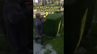 Pria Ini Memiliki Job Terbaik Di Dunia 💛