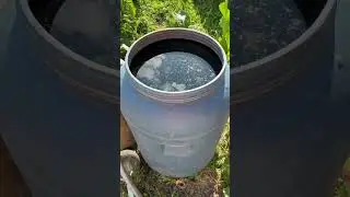 How to throw #&$**# into the water #tutorial #satisfying #absurd #uselessthings