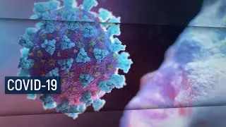 COVID 19 / В центре внимания &ndash; 25 (28 марта 2020 года)