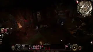 Upper City Bugged Out?: BG3 Solo Honor Mode Spore Druid