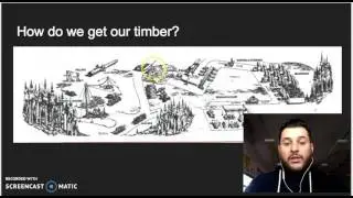 Timber Preparation