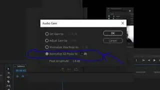 Normalize audio in Premiere Pro