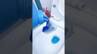 #Shorts Amazing Products TikTok Video | Silicone Toilet Brush