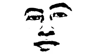 Cara misteriosa captada