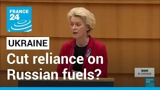 Cut reliance on Russian fuels? EU seeks answers to energy supply crunch &bull; FRANCE 24 English