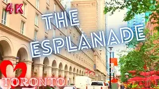 THE ESPLANADE &ndash; 🇨🇦 TORONTO, ONTARIO &ndash; 4K WALK