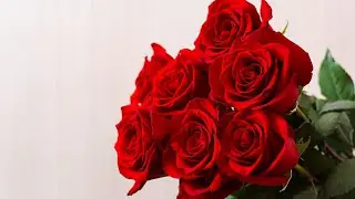 Happy Valentine's day 2021 | Valentine's day 2021Status | Rose day 2021 whatsapp status