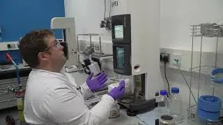 eBIC Loading your samples on HexAuFoil grids