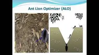 Community detection in complex networks using Ant Lion Optimizer