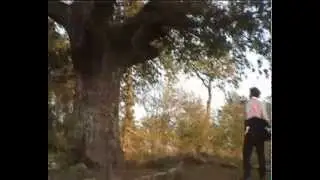 Man vs Nature