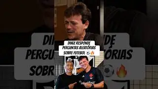 FERNANDO DINIZ RESPONDE PERGUNTAS ALEAT&Oacute;RIAS DE ROM&Aacute;RIO SOBRE FUTEBOL ⚽️ #futebol  #diniz #vasco