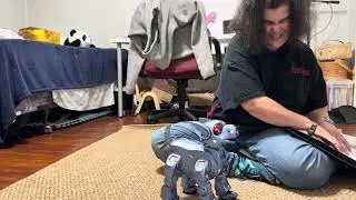 Демонстрация I-cybie от Tiger Electronics — часть вторая. Игровые команды и странности голосовых ...