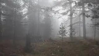 Bavella - Corsica 2018