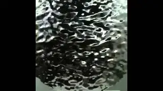 Picks from Frieze New York : Takeshi Murata