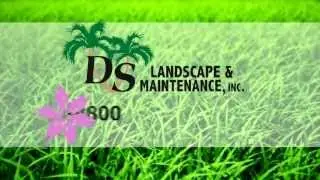 Landscaping Services in Orlando Florida - DS Landscape and Maintenance, Inc.