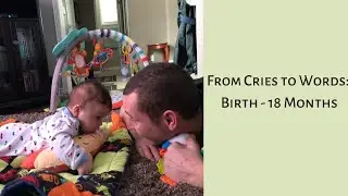 From Cries to Words: Building a Solid Foundation for Communication Birth to 18 Months