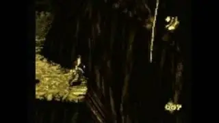 Pitfall 3D PlayStation Gameplay - Pitfall 3D