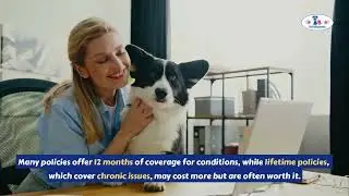 🐾 Is Pet Insurance Worth It? Why Your Furry Friend Needs Coverage! 🐕&zwj;🦺🐈