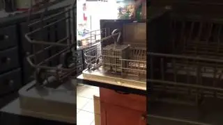Koldfront countertop dishwasher