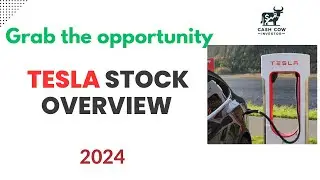Tesla Stock Analysis | Must Watch Before Investing in Tesla Stock