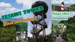 JEJAWI TOWER @Chek Jawa Wetlands in Pulau Ubin Singapore