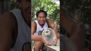 How to Make Fishtrap Using Plastic Bottle. | Mullet Fishtrap Making (Alugasin) | Bottle fishtrap