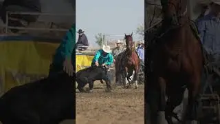 Epic Tie Down Action  #horse #rodeo  #cowboys