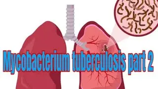 mycobacterium tuberculosis part 2