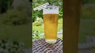 Brewing Highlights From 2021