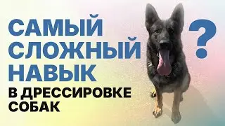 Самый сложный навык в дрессировке собак...? The most difficult skill in dog training.