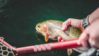 FLY FISHING ROCK CREEK MONTANA | BEAUTIFUL SCENERY