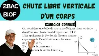 2BAC BIOF /Chute libre verticale dans un fluide/M&eacute;canique Exercice r&eacute;solu