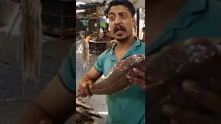 Machli bazar #fish #youtube #ytshorts #viralshort #shorts #tiktok #travel #trending #viralvideo #yt