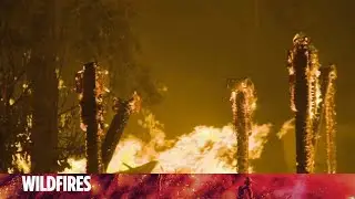 PG&E charged in Zogg Fire that killed 4 last year