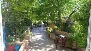 كجا كوردا معصبة من الأطفال🤦🤦