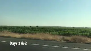 Road Trip 2 Oakland - 1min Alexa Polar music vid blog