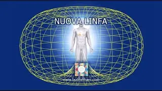 Nuova Linfa