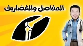 حدوتة المفاصل والغضاريف كاملة _ أحياء 3ث